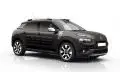 C4 CACTUS