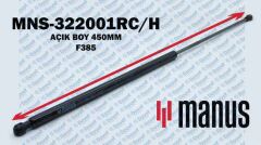 Bagaj Amortisörü Clio 3 (III) 06>