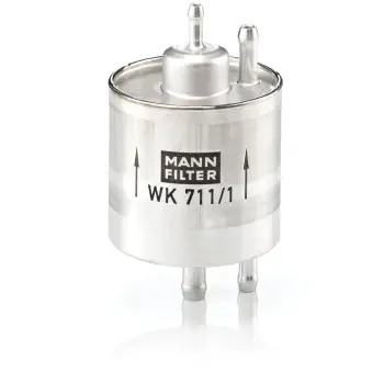 MANN-WK711/1 - Yakıt Filtresi (Mercedes M166/A Seri-Vaneo) A0024773801