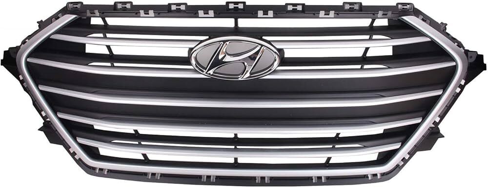 Elantra 16- Panjur Gri Çıtalı - 86350-F2000