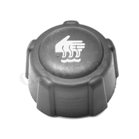 AYH-A1181 - Radyatör Ek Su Deposu Kapağı Beyaz Yazi (Renault Clio III IV Symbol Megane II III Kangoo Fluence Master II Trafic Latutide/ 7700805131